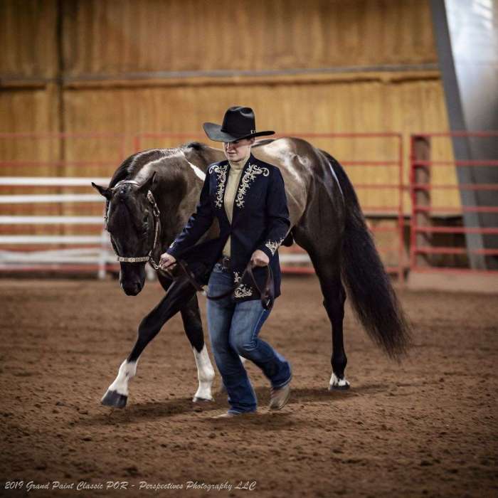 Sheath cleaning horses