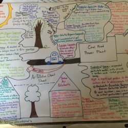 Air pollution mysteries apes answers