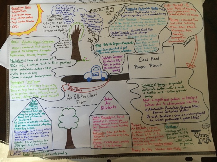 Air pollution mysteries apes answers