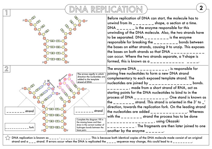 Protein synthesis worksheet with answers