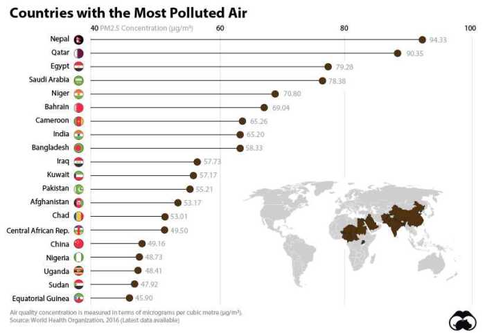 Pollution apes