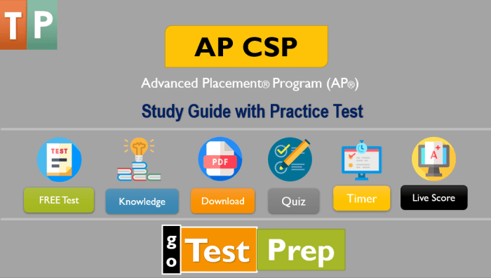 Ap csp performance task requirements