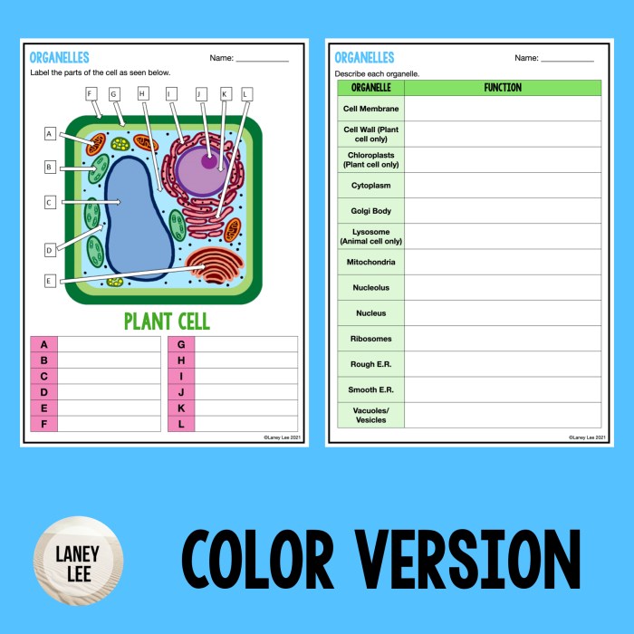 Cell organelle worksheet answer key