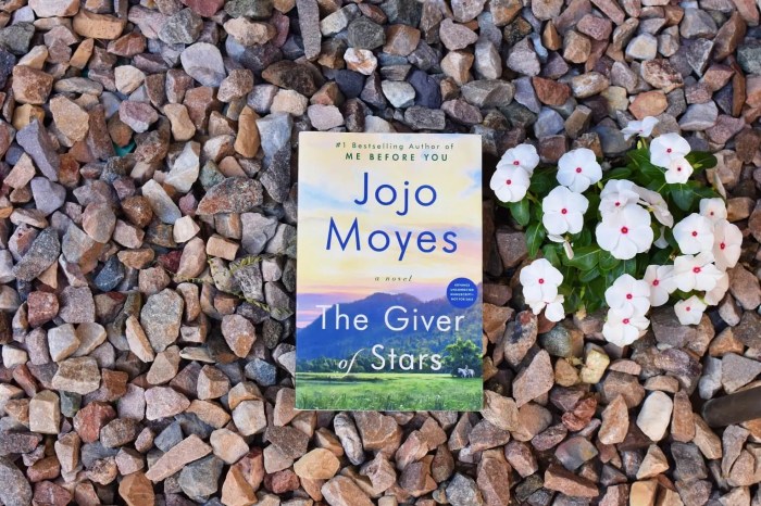 Giver of stars book club questions