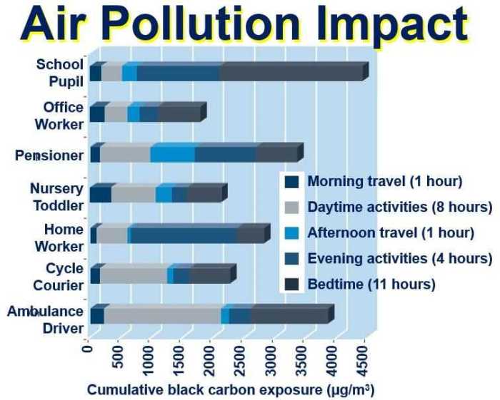 Air pollution mysteries apes answers