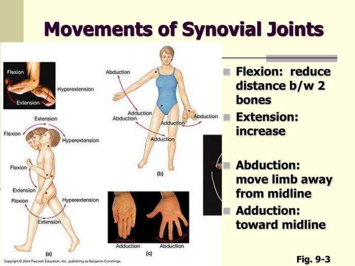 Joints map concept classification drag targets appropriate respective labels their solved hint available transcribed problem text been show has reset