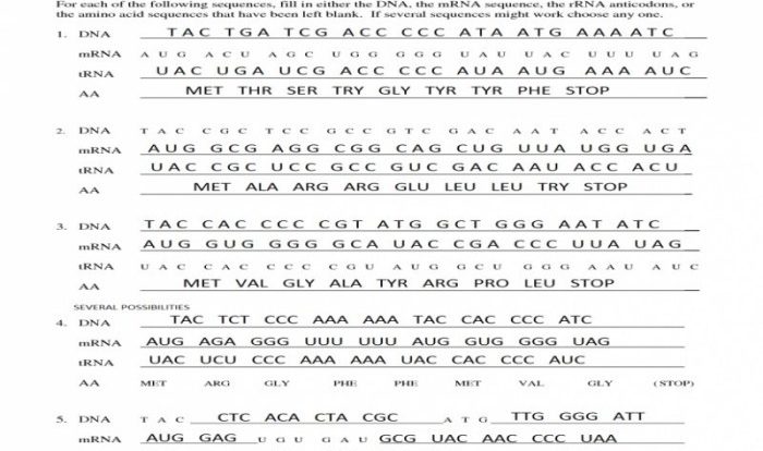 Protein synthesis worksheet with answers