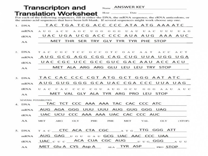 Protein synthesis worksheet with answers