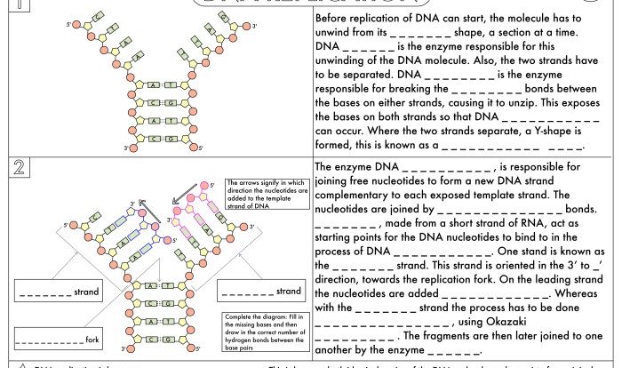 Dna and rna practice worksheet answer key