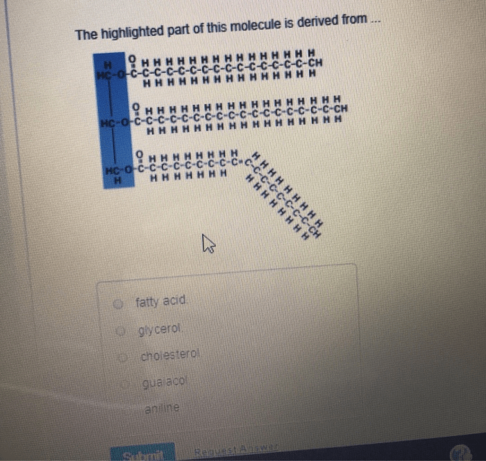 The highlighted part of this molecule is derived from ..